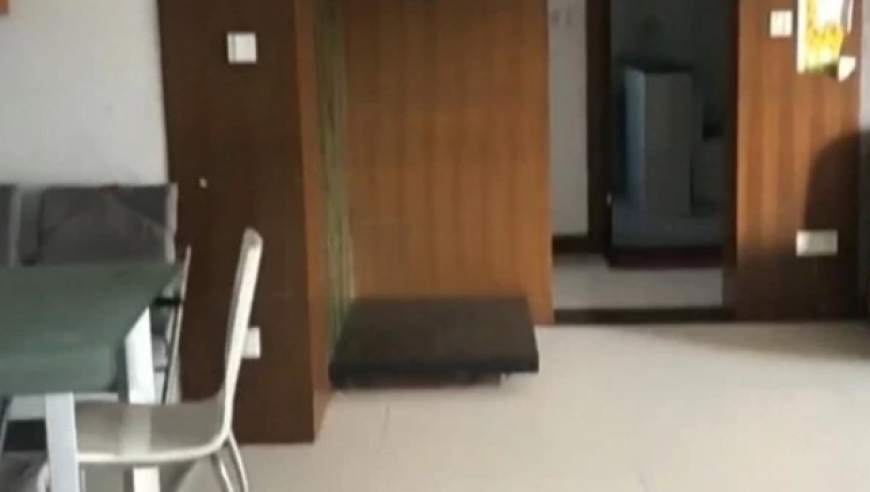 姚明霍启刚等代表陆续入场,香港二四六开奖免费资科大全,经济性执行方案剖析_豪华版V5.44