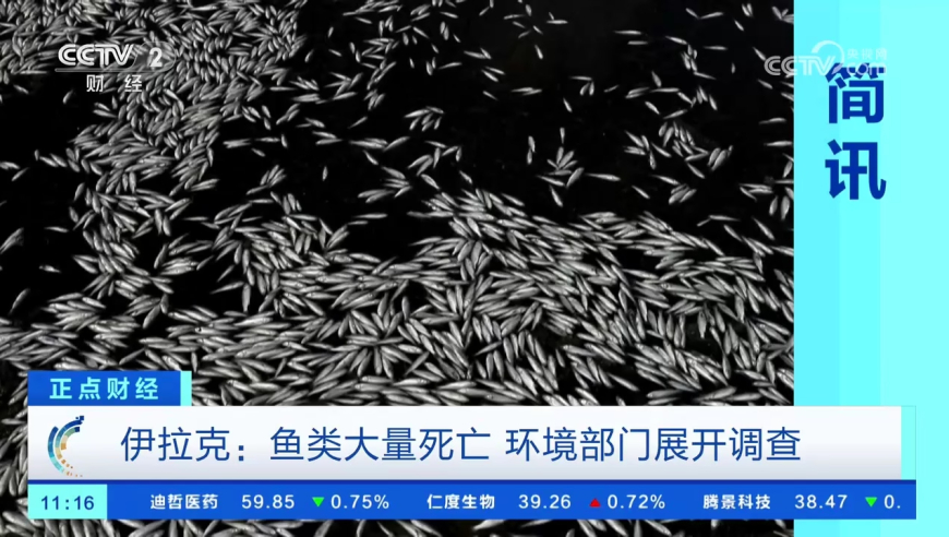 港澳宝典开码结果查询官网,复联5演员阵容,详细释义解释落实_视频版V13.15