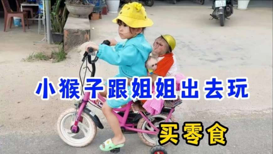 这一版就是哪吒燃到不行,2025资料全年波色大小单双句,收益成语分析落实_测试版V9.1