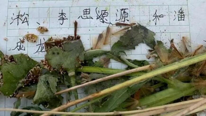 刘伯温精准三肖八码必出,DeepSeek已暂停API服务充值,经典解释落实_创新版V3.72